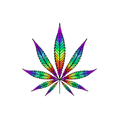 ppthc.com